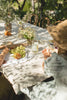 Tuscany Beyond the Postcards: A Private Autumn in the Vineyards