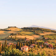 September 2026 - Wine Harvest in Tuscany