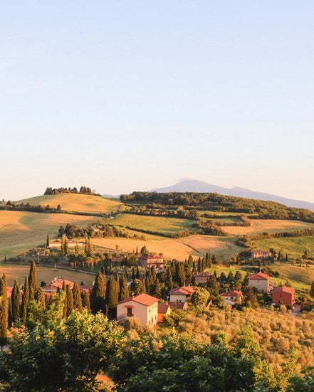 September 2026 - Wine Harvest in Tuscany