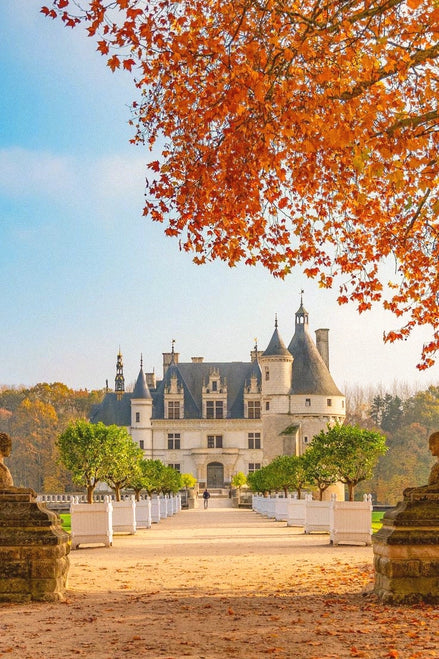 November 2026 - French Châteaux & Autumn Foliage
