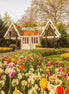 April 2026 - Keukenhof tulip gardens & Dutch Countryside