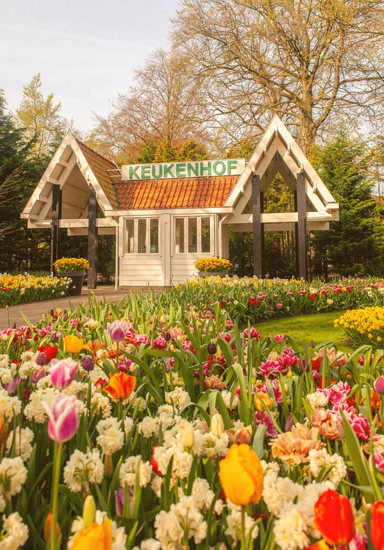 April 2026 - Keukenhof tulip gardens & Dutch Countryside