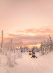 February 2026 - Lapland northern lights & Nordic group tour.