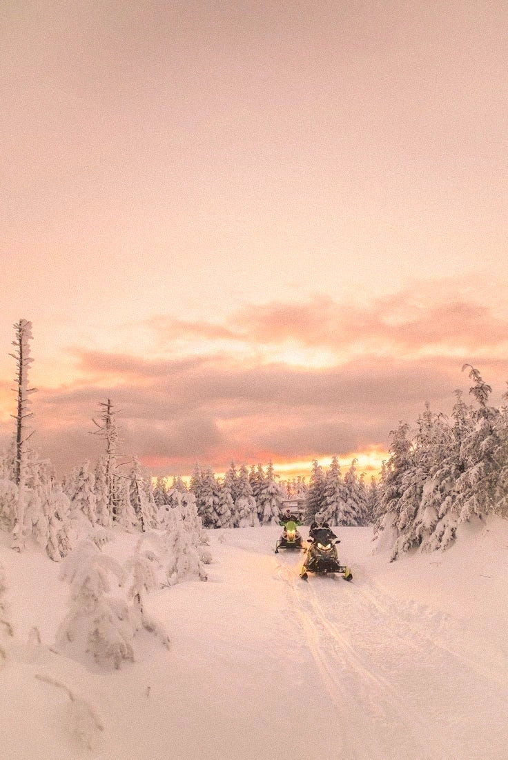 February 2026 - Lapland northern lights & Nordic group tour.