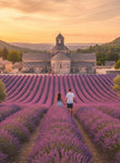 June 2026 - Lavender and Grand Prix on the French Riviera