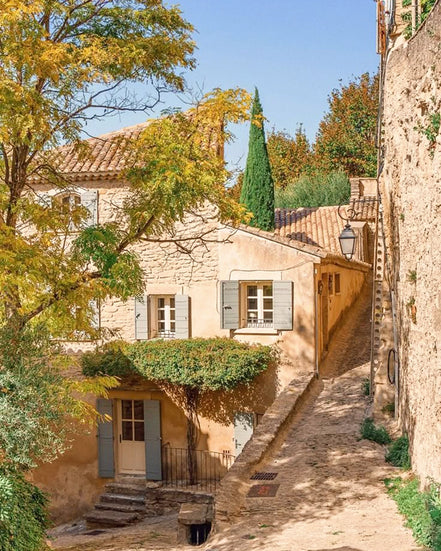 June 2026 - Lavender and Grand Prix on the French Riviera