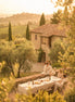 September 2026 - Wine Harvest in Tuscany